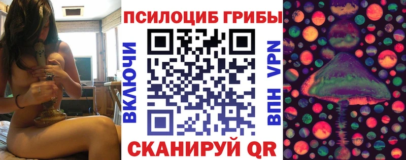 купить наркотик  Торопец  Псилоцибиновые грибы мицелий 